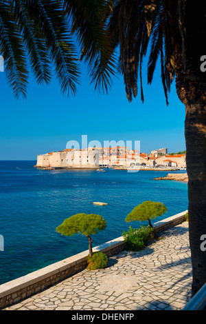 Città Vecchia (Stari Grad), il Sito Patrimonio Mondiale dell'UNESCO, Dubrovnik, Dalmazia, Croazia, Europa Foto Stock