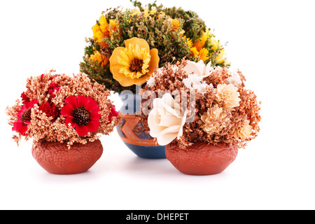 Vasi con fiori isolati su sfondo bianco. Foto Stock