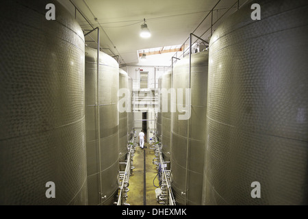 Serbatoi di grandi dimensioni in una fabbrica di birra Foto Stock