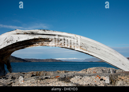 Canada, Nunavut, Regione Qikiqtaaluk, Cumberland Sound, Kekerten isola. Bowhead whale osso mandibolare. Foto Stock