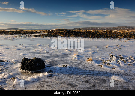 Vista su un congelati paesaggio vulcanico, Merkurhraun, Islanda. Foto Stock