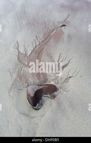 Modelli per la sabbia sulla spiaggia Achnahaird mostra esposta in arenaria torridonian Foto Stock