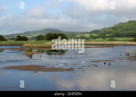 Estate in East Devon Ax estuario Zone Umide riserva naturale vicino a Seaton in Devon Foto Stock