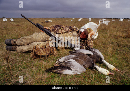 Un cacciatore con le oche delle nevi (Chen caerulescens) mentre la caccia di oca al Port Lavaca Texas Foto Stock