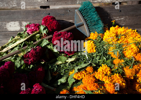 Calendula fiori e una scopa durante la celebrazione del Giorno dei Morti nel cimitero di Santa Ana Zegache, Oaxaca, Messico Foto Stock