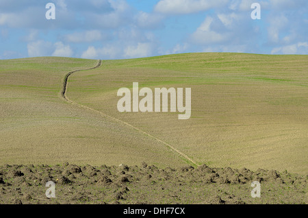 Campo Arato in Toscana Foto Stock