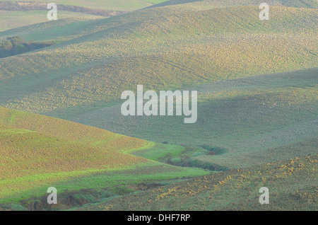 Campo Arato in Toscana Foto Stock