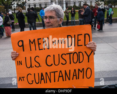 Washington, DC, 08 Nov, 2013. Dimostranti presso la Casa Bianca indossavano tute arancioni e coperto le loro teste in panno nero a simboleggiare la tortura dei detenuti con nessuna prova a base di Guantanamo. Alcuni prigionieri sono morti in prigione prima di ricevere qualsiasi prova. Credito: Ann poco/Alamy Live News Foto Stock