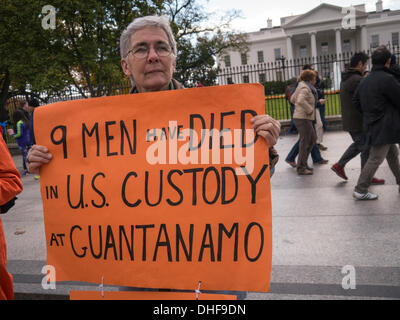 Washington, DC, 08 Nov, 2013. Dimostranti presso la Casa Bianca indossavano tute arancioni e coperto le loro teste in panno nero a simboleggiare la tortura dei detenuti con nessuna prova a base di Guantanamo. Alcuni prigionieri sono morti in prigione prima di ricevere qualsiasi prova. Credito: Ann poco/Alamy Live News Foto Stock