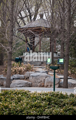 Zizhuyuan Park comunemente noto come viola o Black Bamboo Park nel Distretto Haidian, Pechino, Cina Foto Stock