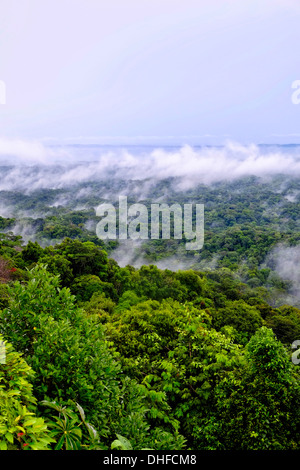 Vista panoramica della foresta tropicale in modo da Panama city a San Blas regione autonoma della Repubblica di Panama Foto Stock