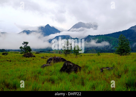 Nebbia mattutina copre Volcan Baru in Chiriqui provincia Repubblica di Panama Foto Stock