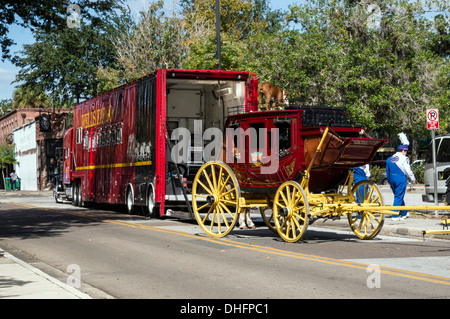 Boxer cane sul tetto di Wells Fargo & Company carrello nell università di Florida Homecoming Parade 2013, Gainesville, Florida, Stati Uniti d'America. Foto Stock