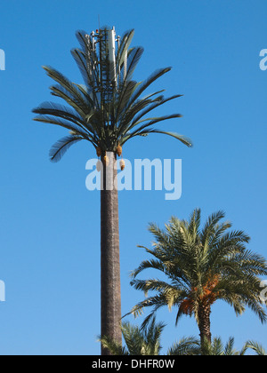 Telefono cellulare torre dissimulata come una palma artificiale a Marrakech Foto Stock