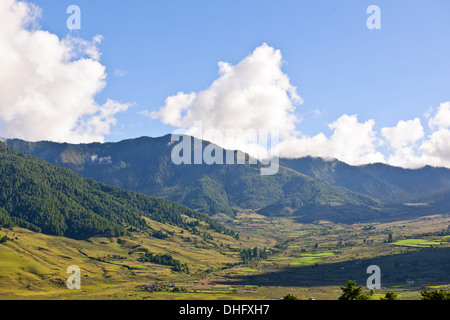 Gangte valley,gru su svernamento la valle glaciale che confinano con le montagne nere della gamma,Jigme Singye Wangchuck national park Foto Stock