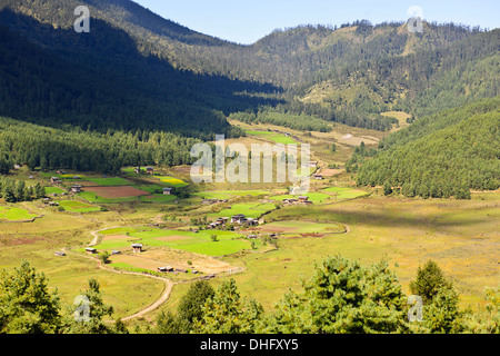 Gangte valley,gru su svernamento la valle glaciale che confinano con le montagne nere della gamma,Jigme Singye Wangchuck national park Foto Stock