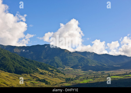 Gangte valley,gru su svernamento la valle glaciale che confinano con le montagne nere della gamma,Jigme Singye Wangchuck national par Foto Stock