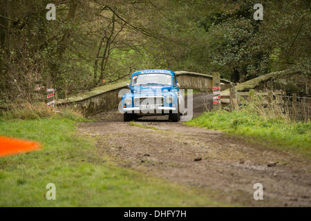 Duncombe Park, North Yorkshire, Regno Unito . 09Nov, 2013. Regno Unito Rally RAC Duncombe Park speciale allo stadio 8. Ian Beveridge e Pietro gioia in una Volvo PV544. Credito: Geoff Tweddle/Alamy Live News Foto Stock