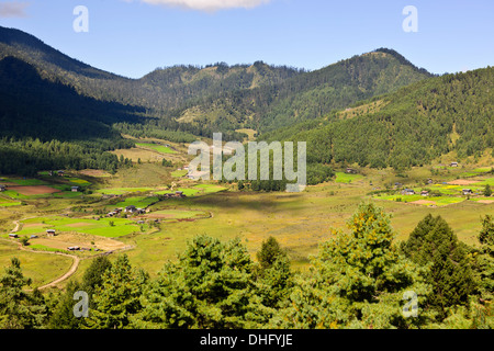 Gangte valley,gru su svernamento la valle glaciale che confinano con le montagne nere della gamma,Jigme Singye Wangchuck national park Foto Stock