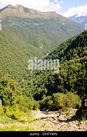 Gangte valley,gru su svernamento la valle glaciale che confinano con le montagne nere della gamma,Jigme Singye Wangchuck national park Foto Stock