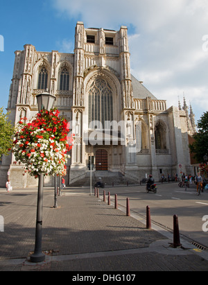 LEUVEN - 3 settembre: Peters cattedrale gotica da ovest in Sepetember 3, 2013 in Leuven, Belgio. Foto Stock