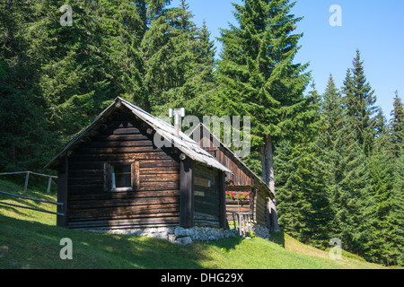 Cottage di legno nella foresta verde Foto Stock