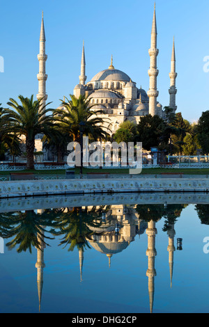 La moschea blu riflessa sulla piscina, Istanbul, Turchia Foto Stock