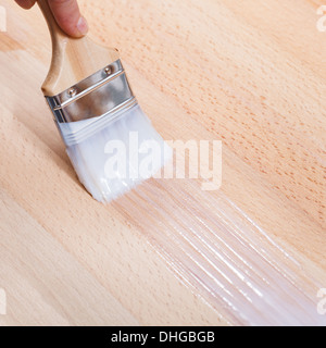 Mettere uno strato di lacca trasparente sulla superficie di faggio top table a pennello Foto Stock