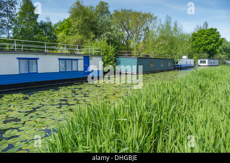 Case galleggianti sul Chichester canal vicino al porto di Chichester West Sussex England Regno Unito Foto Stock