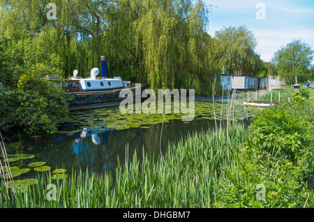 Case galleggianti sul Chichester canal vicino al porto di Chichester West Sussex England Regno Unito Foto Stock