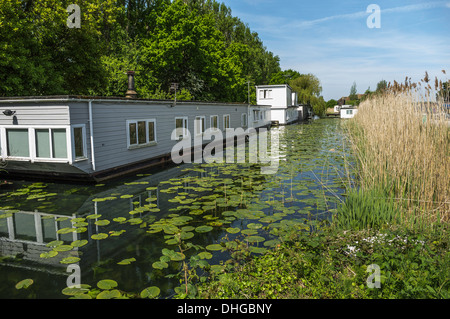 Case galleggianti sul Chichester canal vicino al porto di Chichester West Sussex England Regno Unito Foto Stock