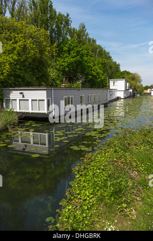 Case galleggianti sul Chichester canal vicino al porto di Chichester West Sussex England Regno Unito Foto Stock