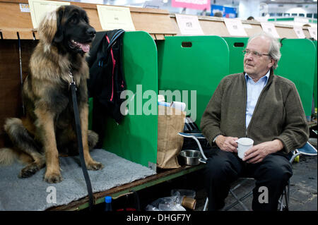 Londra, Regno Unito. Il 9 novembre 2013. Boris, A 16 mesi di età Leonberger attende per competere a scoprire i cani 2013 mostra a Earl's Court. © Piero Cruciatti/Alamy Live News Foto Stock