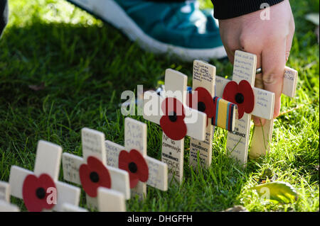 Brighton, Regno Unito, 10/11/2013 : Ricordo Domenica Service . Attraversa con papaveri essendo collocato nel giardino della rimembranza . Ricordo domenica omaggi sono stati effettuati in tutta la nazione a pagare rispetti a tutti che coloro che hanno perso la vita negli attuali e nei conflitti del passato, tra cui la prima e la seconda guerra mondiale. Foto di Julie Edwards Foto Stock