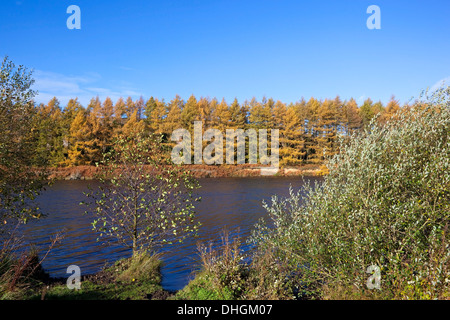 Alberi colorati e cielo blu e acqua in un paesaggio autunnale a cod beck serbatoio sulla North York Moors, nello Yorkshire, Inghilterra. Foto Stock