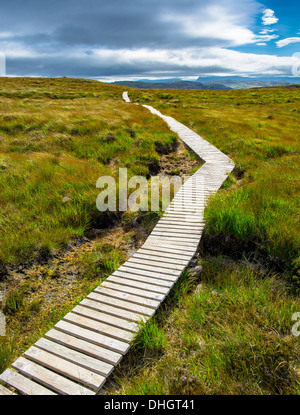 Stretto percorso in legno su UNA collina sull'isola di Handa in Scozia Foto Stock