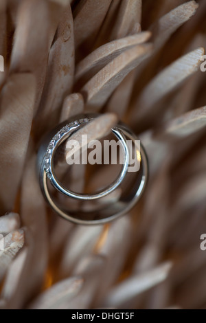 Gli anelli di nozze fiore foglia di legno texture petalo due rosso marrone Natura passione naturale colori luminosi colorati cerchio rotondo il colpo di stato di simbolo Foto Stock