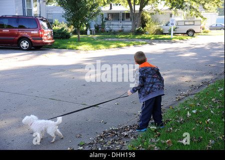 Little Boy cercando prima di attraversare la strada con il cane Foto Stock