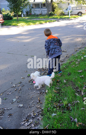 Little Boy cercando prima di attraversare la strada con il cane Foto Stock