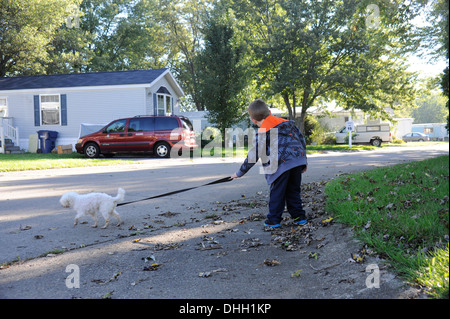 Little Boy cercando prima di attraversare la strada con il cane Foto Stock