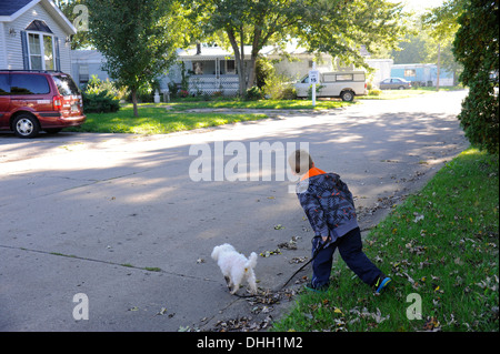 Little Boy cercando prima di attraversare la strada con il cane Foto Stock