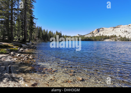 Alta montagna lago di maggio a Yosemite Park Foto Stock