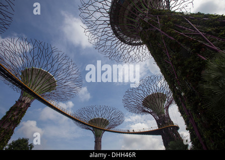 Supertree Grove è progettata in modo particolare giardino verticale costituito da alti artificiale 'alberi' Foto Stock