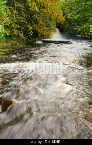 Calderone vigore a cascata di West Burton nel Yorkshire Dales Foto Stock