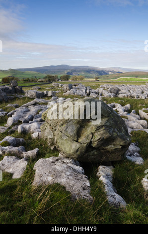 Pen-y-Ghent in Yorkshire Dales visto da Winskill Foto Stock