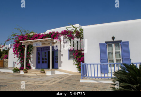 Grecia Mykonos Ano Mera piccolo hotel di colore bianco con fiori Foto Stock