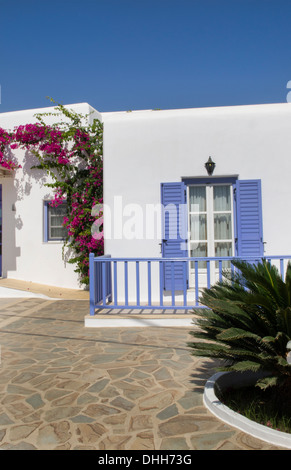 Grecia Mykonos Ano Mera piccolo hotel di colore bianco con fiori Foto Stock