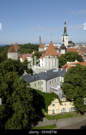 Città vecchia di Tallinn Foto Stock