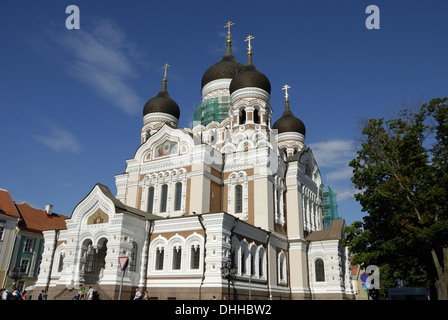 Alexander-Newski-cattedrale di Tallinn Foto Stock