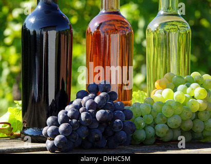 Vino Foto Stock